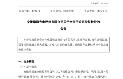 轉(zhuǎn)讓100%股份后,澤潤(rùn)光電再設(shè)立全資子公司 燈具銷售