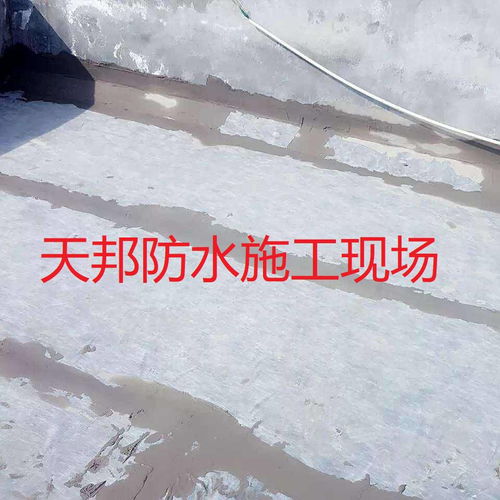 建筑防水卷材產品 價格、廠家與中國供應商全解析